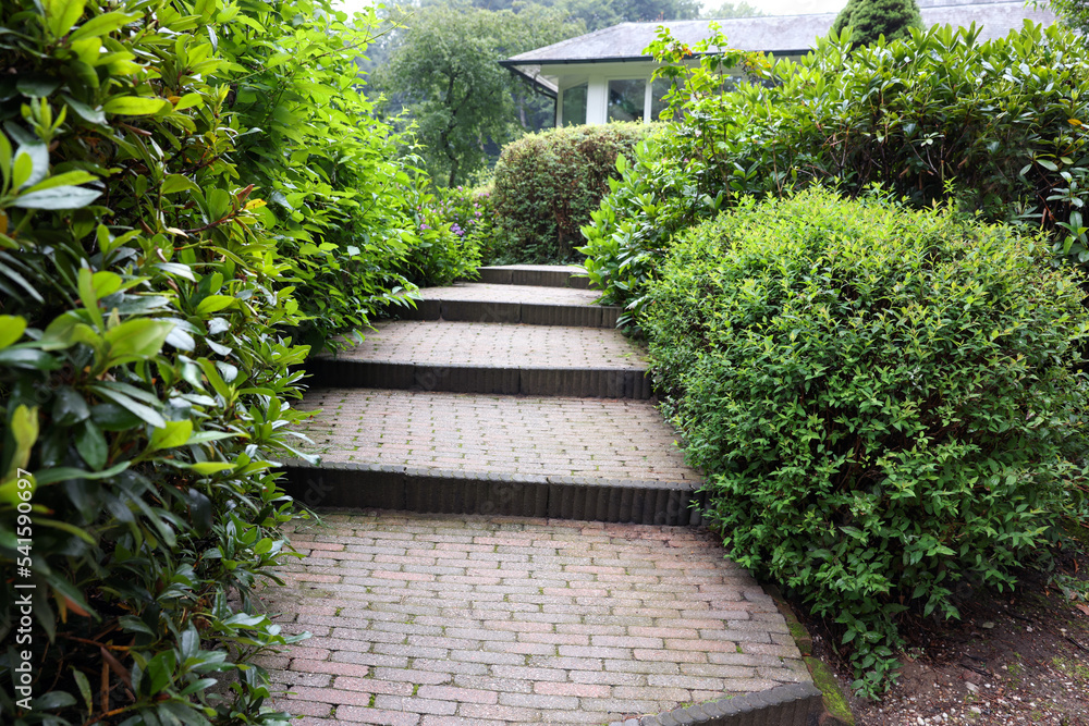 Lovely garden with green shrubbery and paved stairs. Landscape design Lovely garden with green shrubbery and paved stairs. Landscape design