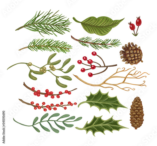 Set of isolated watercolor and gouache elements. Christmas plants. Christmas berries. A branch of a fir tree. Cone. Ilex. Decoration for Christmas. Painting. Color illustration.