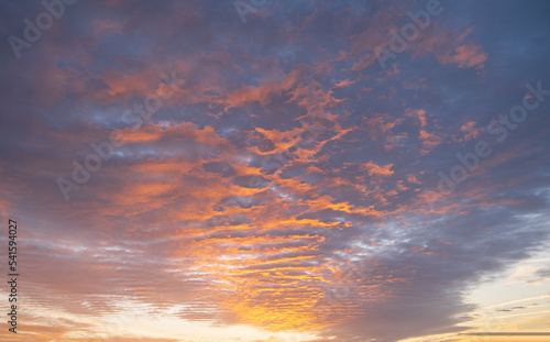 Stunning colorful sunset, blue sky, yellow purple cirrus clouds. © yelantsevv
