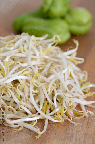 vegetable mung bean sprouts in a wooden table