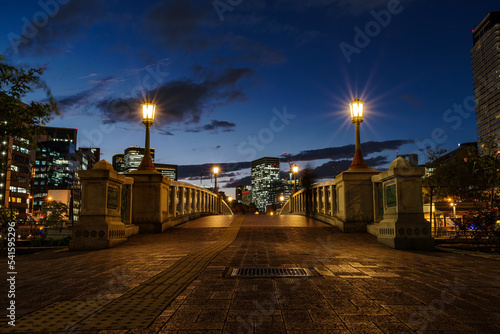 大阪中之島・中之島バラ園ばらぞの橋の夜景