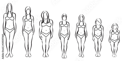 Anatomy of the female human body wearing bikini. Linear drawing of women of various heights. Vector illustration isolated on white background.