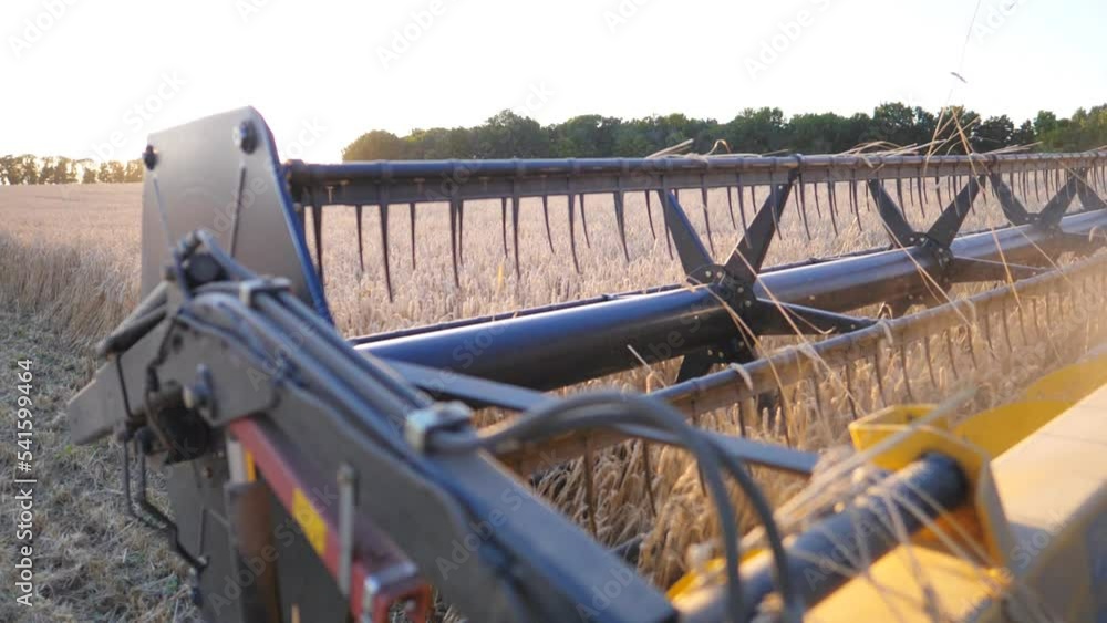 Close up blades of combine spinning and cutting yellow ears of wheat. Grain harvester working in field gathering crop of ripe barley. Bright sunset illuminates grain field with golden light. Slow mo Close up blades of combine spinning and cutting yellow ears of wheat. Grain harvester working in field gathering crop of ripe barley. Bright sunset illuminates grain field with golden light. Slow mo