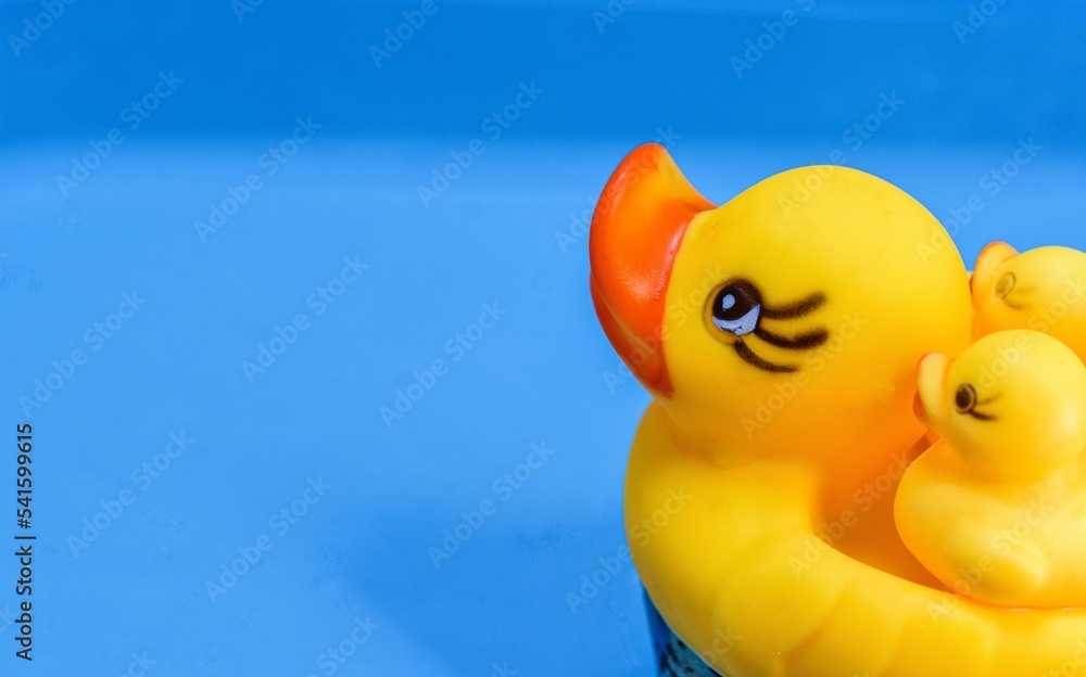 Yellow toy rubber ducks, mother and rubber ducklings float in the blue tub. Yellow toy rubber ducks, mother and rubber ducklings float in the blue tub.