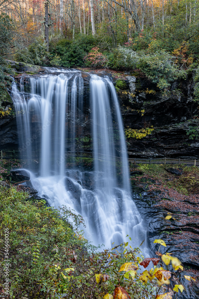 Fototapeta premium fall