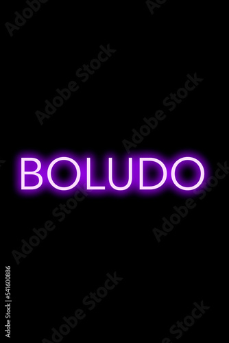 High-quality illustration. Purple neon sign on an isolated dark background with the phrase boludo in spanish on it. Bright sign for designs or graphic resources