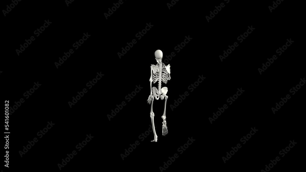 Sexy skeleton dance with alpha channel Sexy skeleton dance with alpha channel