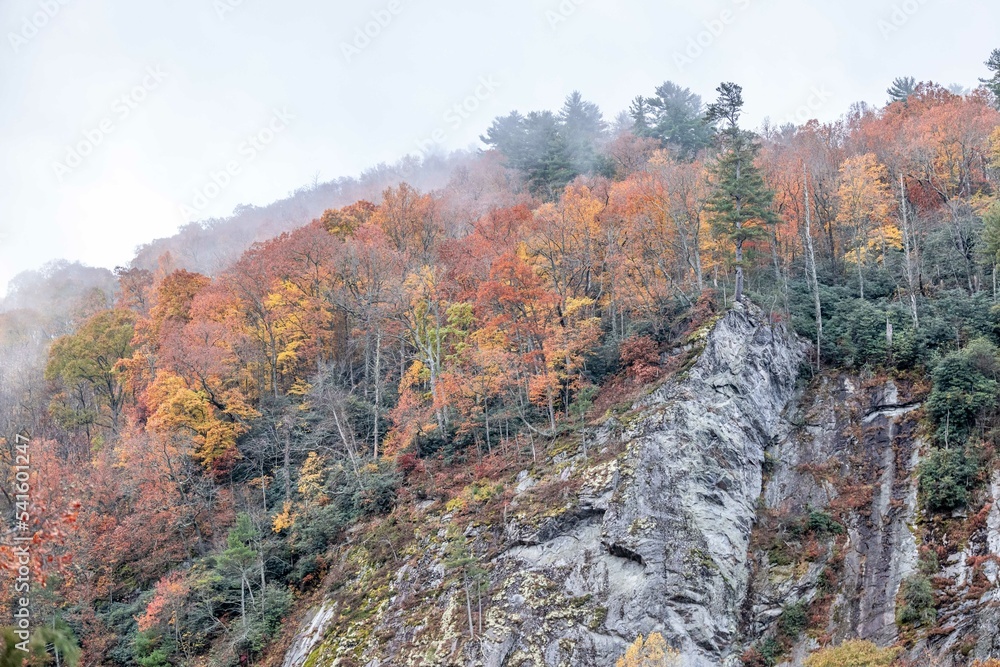fall in the blue ridge mountains StockFoto Adobe Stock