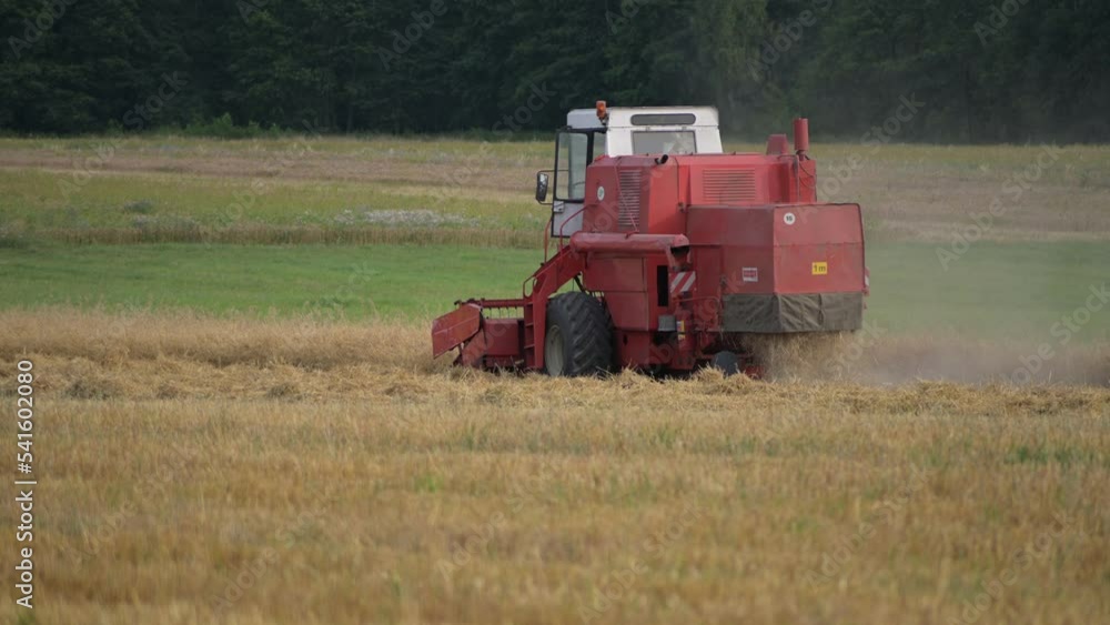 red tractor harvest machine in grain field organic farm during harvesting season red tractor harvest machine in grain field organic farm during harvesting season