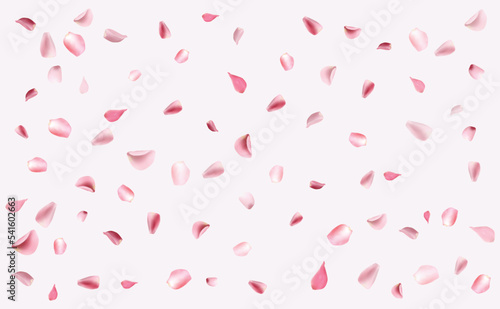 Rose petals falling down background