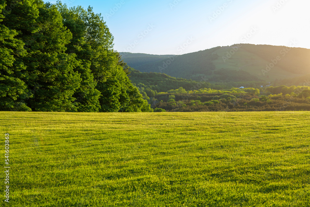 Green field with trees and hills on background at sunset time and blue sky. High-quality photo
