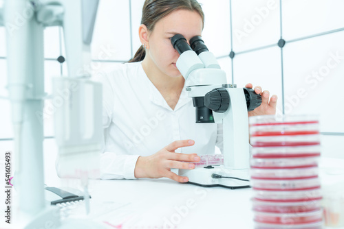 female laboratory assistant in a medical dermatology laboratory examines skin microflora cultures for pathogenic diseases