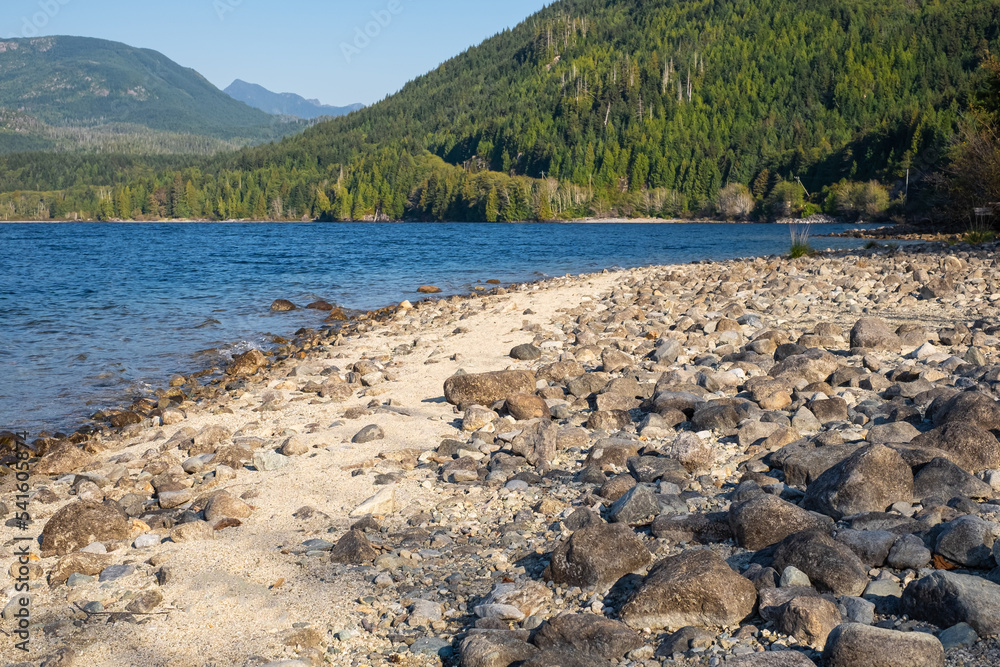 Fototapeta premium Mountain lake surrounded by green pine tree forest in summer. Beautiful lake in the Vancouver Island