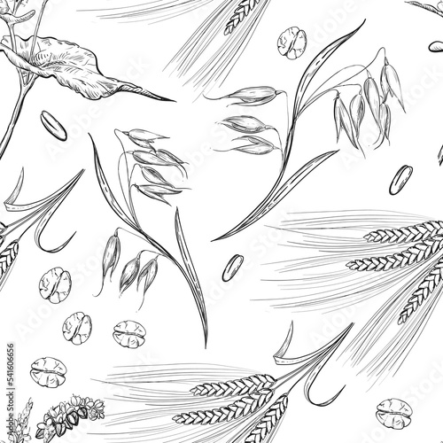 Detailed hand drawn black and white illustration seamless pattern of oat ear, wheat, leaf, grain, agriculture. sketch. Vector. Elements in graphic style label, card, sticker, menu, package.