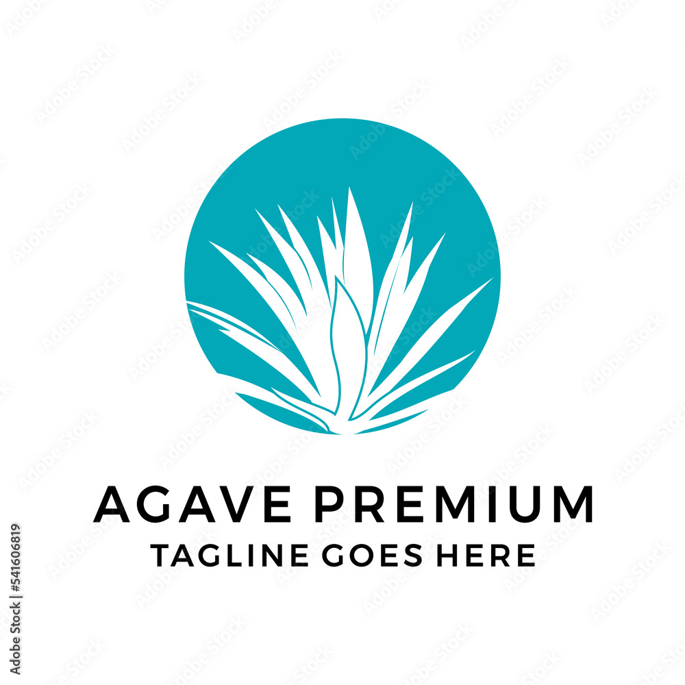 Agave plant logo design vector illustration Agave plant logo design vector illustration