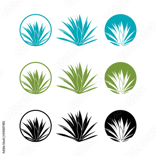 Set of succulent plant, Agave plant logo icon vector illustration