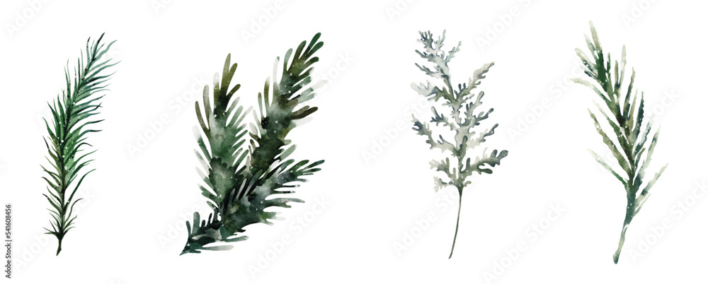Set of watercolor winter leaves element Set of watercolor winter leaves element
