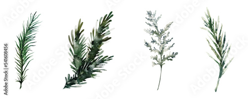 Set of watercolor winter leaves element