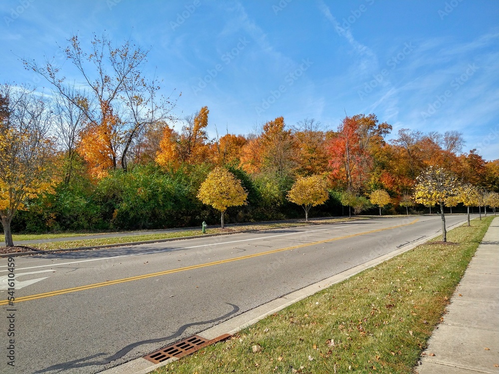 Naklejka premium Peaceful Autumn Road