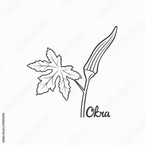 illustration of okra, vegetable, vector art.