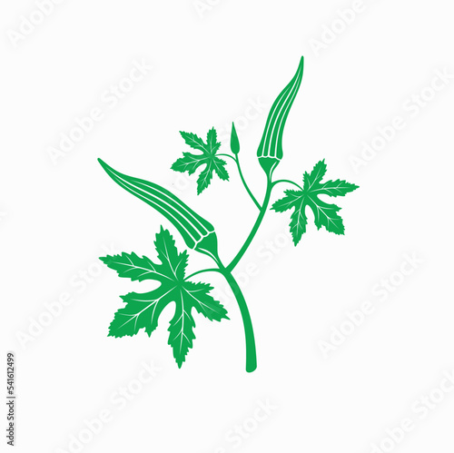 illustration of okra, vegetable, vector art.