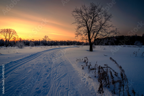 Winter landscape with road  trees covered snow and sunrise. Winter morning of a new day.