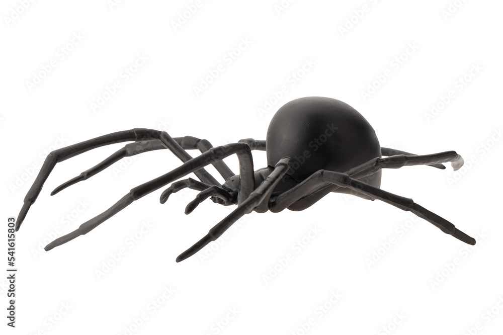 Fake rubber spider toy isolated over a white background. black spider toy isolated on a transparent background. Comic horror for Halloween. - obrazy, fototapety, plakaty 