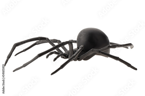 Fotografija Fake rubber spider toy isolated over a white background