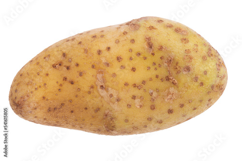 Fresh raw potatoes isolated on a transparent background photo
