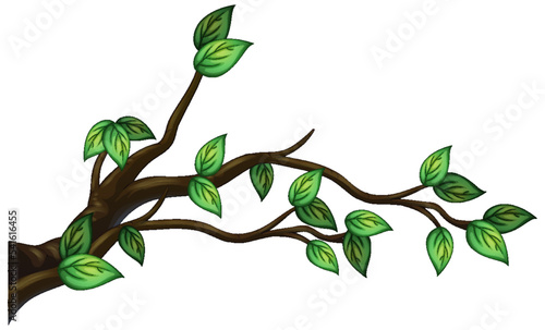 Tree branch isolated on white background