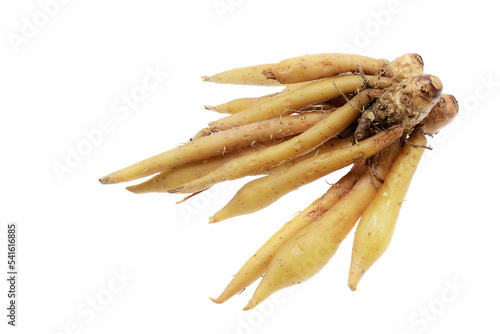 Fingerroot, Kaempfer, Boesenbergia isolate on white background, Ingredients for Thai Cuisine photo