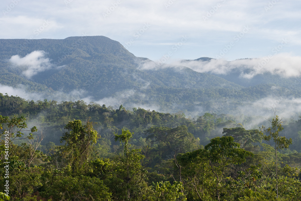 Alto Mayo Valley, where one of the best coffees in the world is grown Alto Mayo Valley, where one of the best coffees in the world is grown