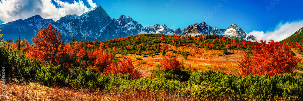 Obraz na płótnie Snowy High Tatras with colorful autumn trees. Hiking from zelene lake to cottage plesnivec near Belianske Tatry mountain  Slovakia. w salonie