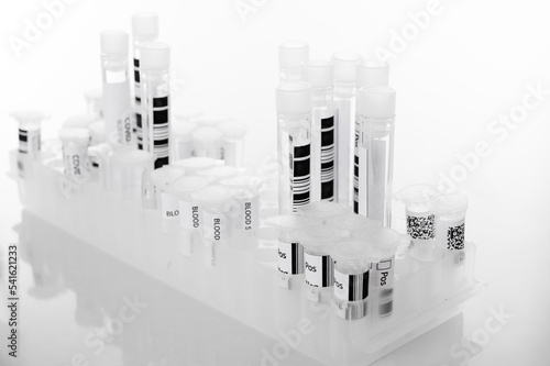 Test tubes in the rack for analysis in the medical laboratory- on white background- analyzes and diagnostics concept- on white background