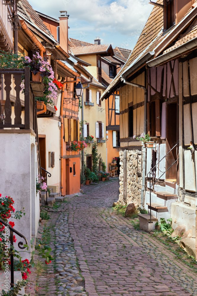 Fototapeta premium street in the commune of Eguisheim France