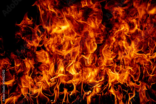 Flame fires. Burn lights on a black background. Fire flames on black background. Abstract fire flame background. © Volodymyr