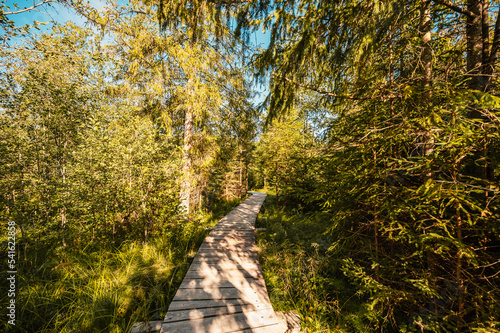 Mountain landscape in Slovakia mountains, Juranova dolina - valley in The Western Tatras national park, oravice, Orava region. Educational trail through the bog photo