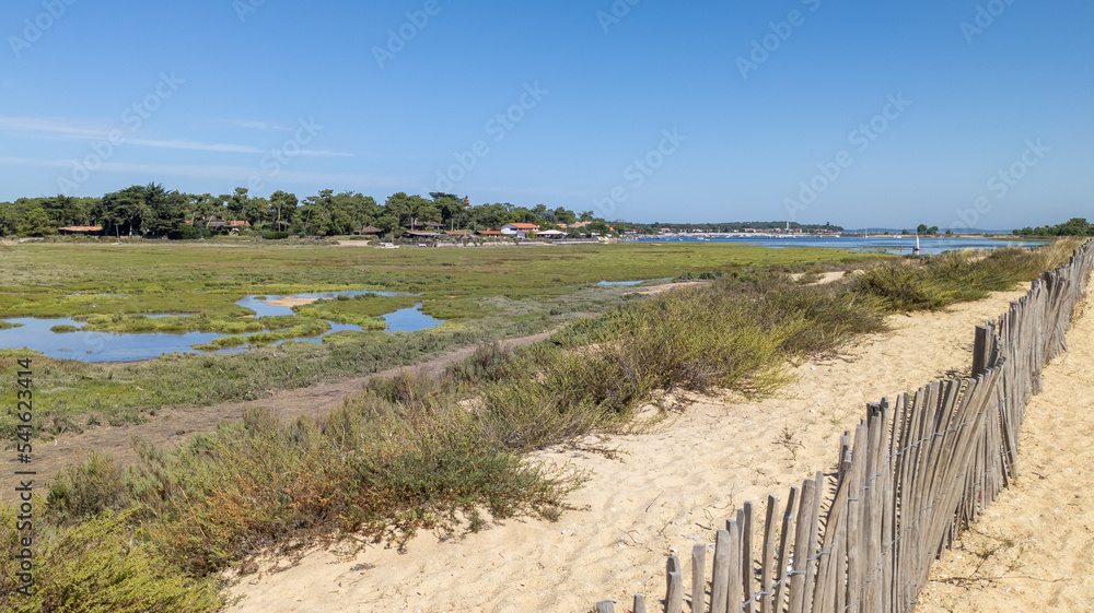 access walking path along the Bassin d'Arcachon coast at Cap-Ferret in France access walking path along the Bassin d'Arcachon coast at Cap-Ferret in France