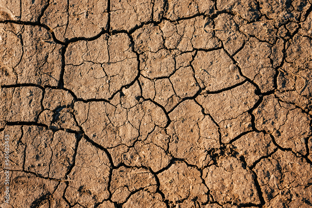 Texture of dried out cracked brown soil from above. Full flat drought background with copy space. Cracks, earth, clay, drought, heat, heat wave Texture of dried out cracked brown soil from above. Full flat drought background with copy space. Cracks, earth, clay, drought, heat, heat wave
