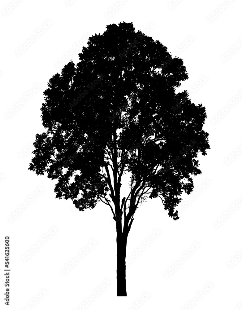 Fototapeta premium Tree silhouette for brush on white background.
