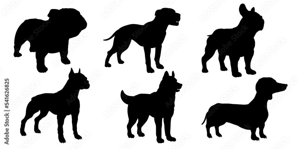In the animal world. Vector image, dog. Black and white drawing.