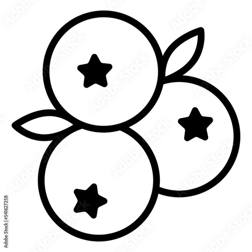 Blueberry, berry icon. Icon of blueberry or berry in outline or line style. Icon for any web and app project.