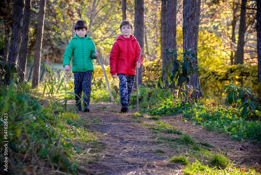 Two boys are running in the autumn forest. Two sibling brother b