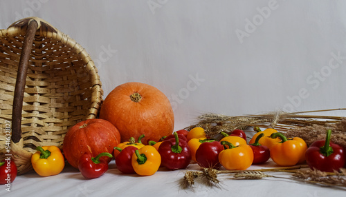 Autumn harvest pumpkin and pepper along with a wicker basket on a light background. Autumn design  harvest concept.