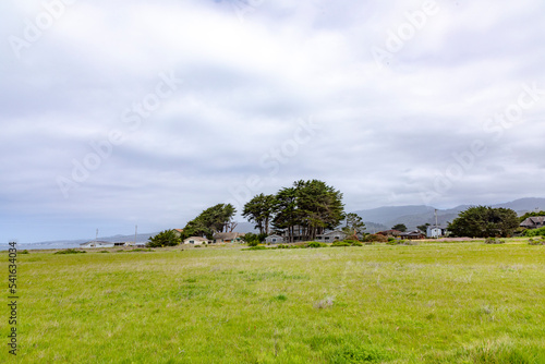 scenic green landscape at half moon bay with wooden houses at horizon, California,