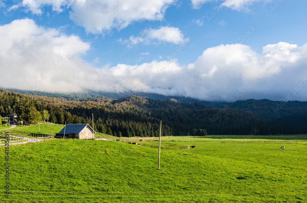 Paesaggio tipico dell'altopiano del Cansiglio nella provincia di Belluno in una giornata di sole e nuvole grigie e con una piccola fattoria