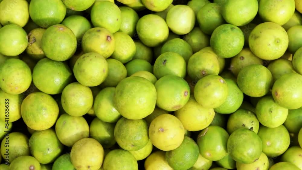 fresh organic lemons from farm close up from different angle fresh organic lemons from farm close up from different angle