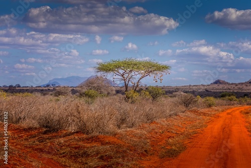 The landscape of the Tsavo East National Park, Kenya photo