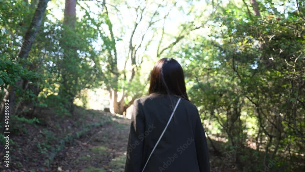 公園を散策する女性 公園を散策する女性