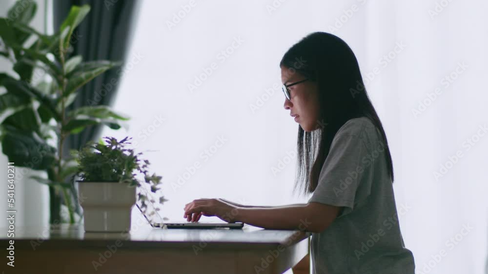 Women use laptops to browse online remote information for work. Women use laptops to browse online remote information for work.